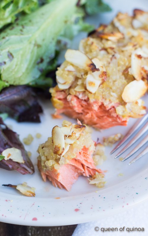 honey-quinoa-crusted-salmon-3.jpg