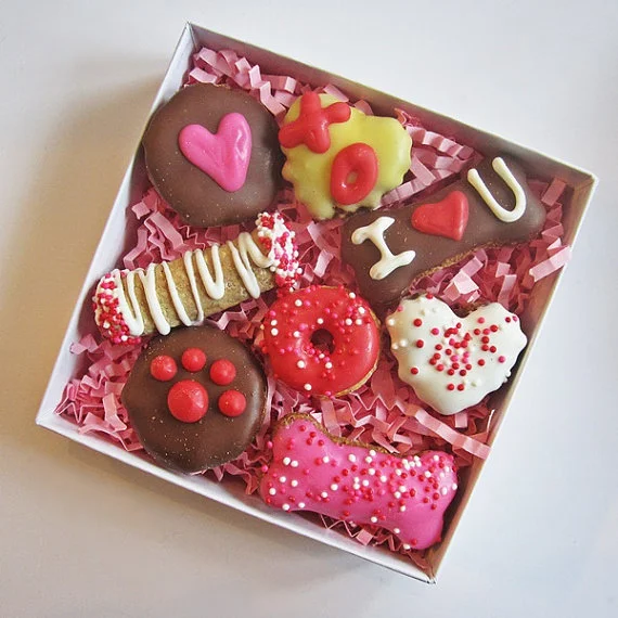 dog treats.jpg