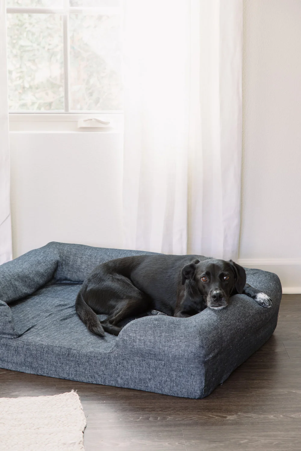Even the dog bed matches!