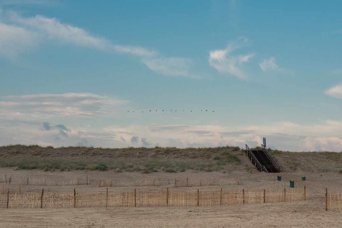 web-groot-1200 (6 van 18).jpg