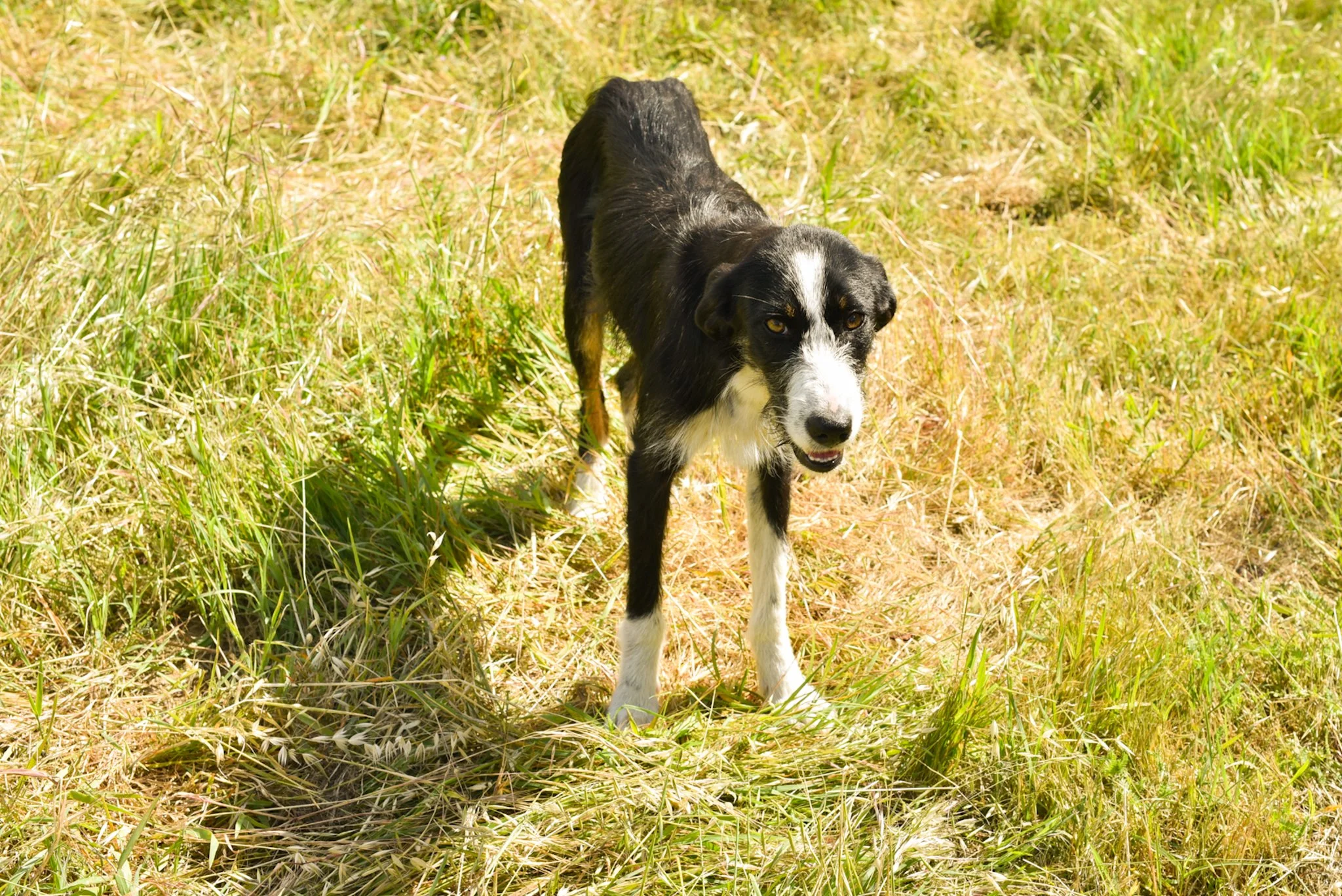 DSC_8974.jpg