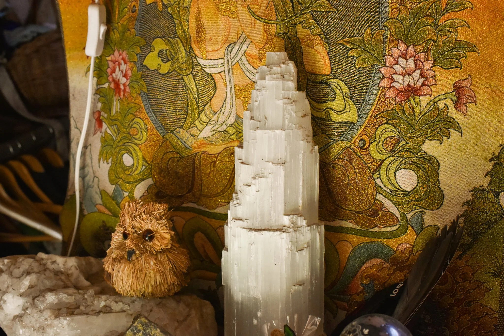 DSC_9066.jpg