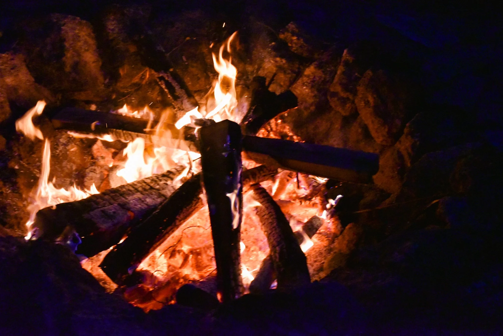 DSC_9560.jpg