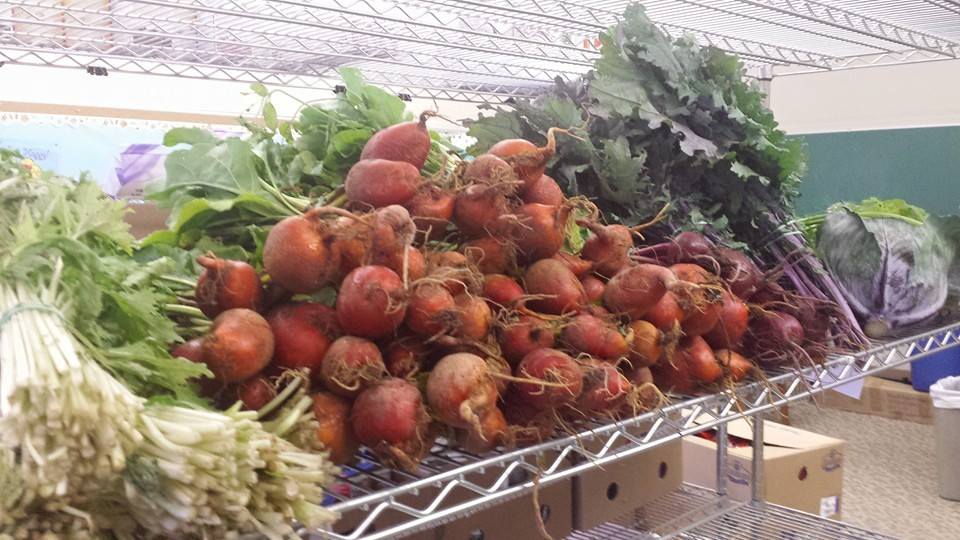 Thank you, Weir River Farm !