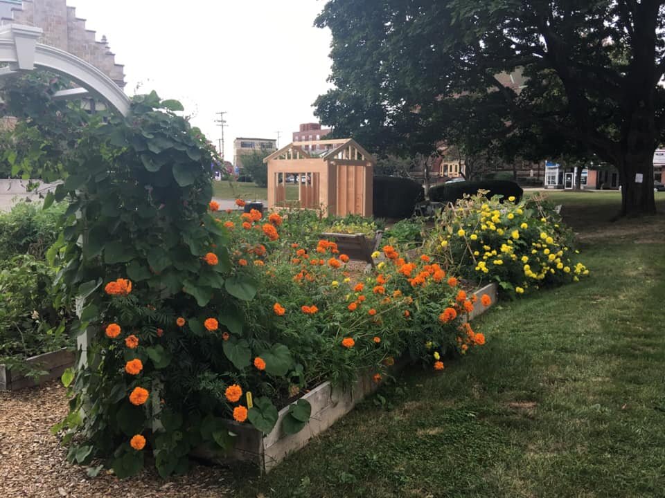 Food Pantry Garden 1.jpg