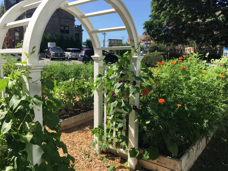 Food Pantry Garden 4.jpg