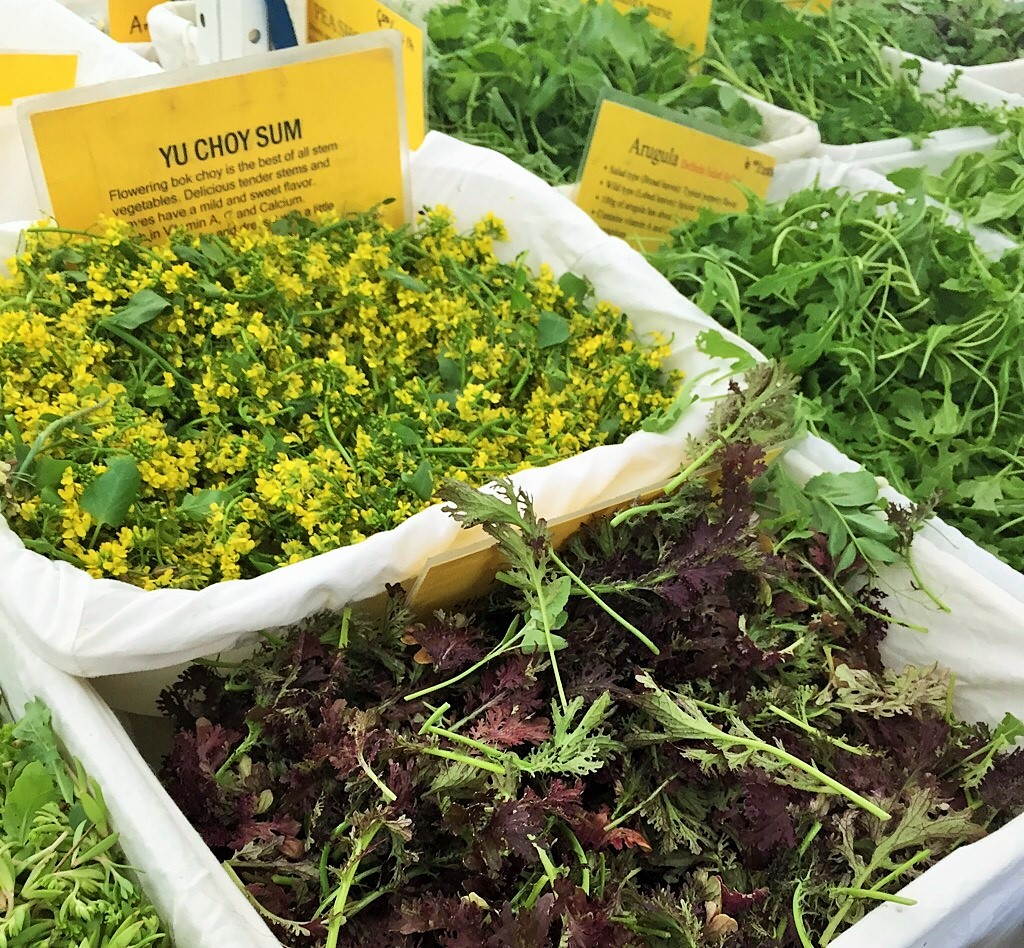 What the heck is Yu Choy Sum? Read more...
