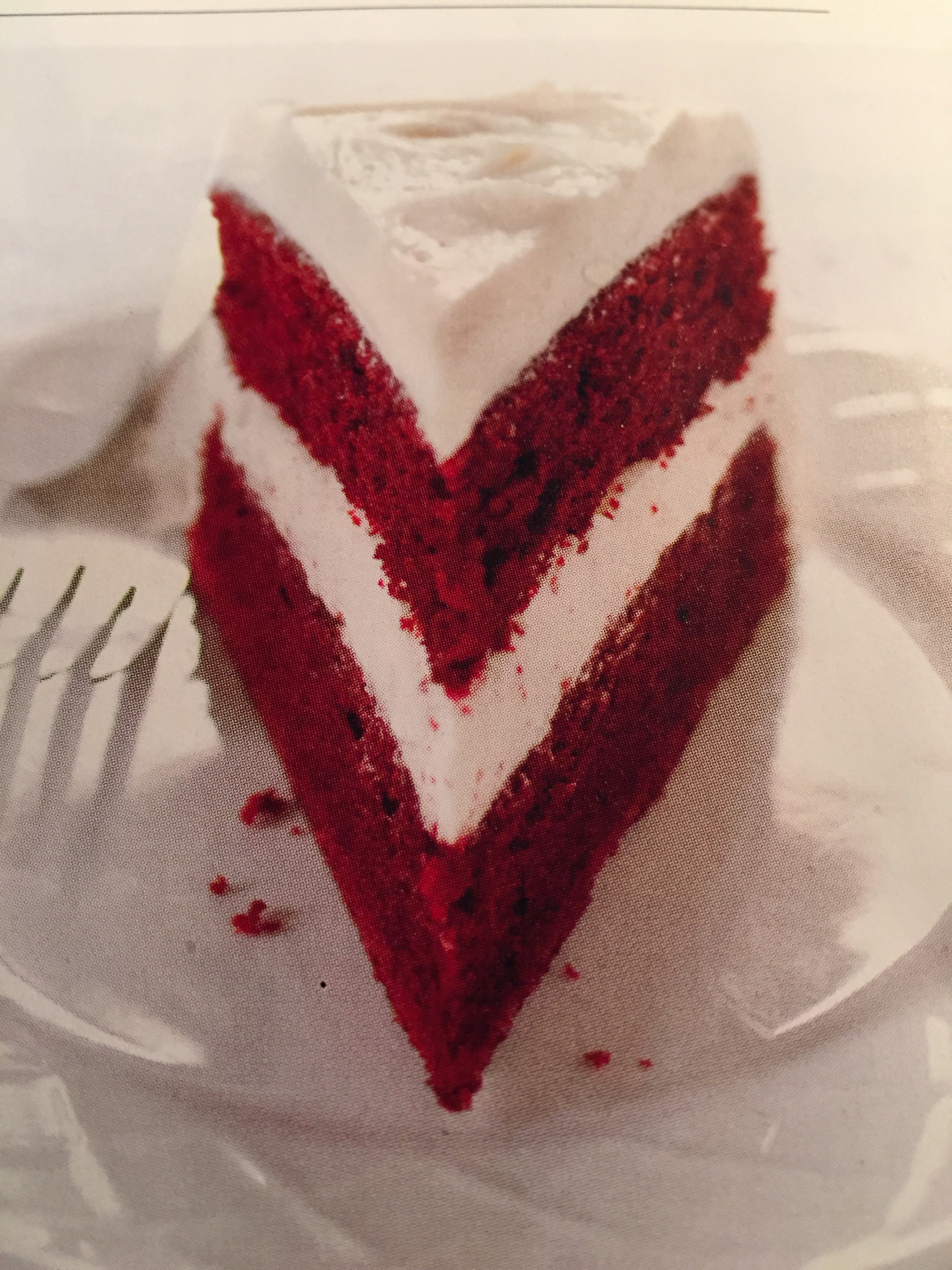Photo of Cake from ATK zine