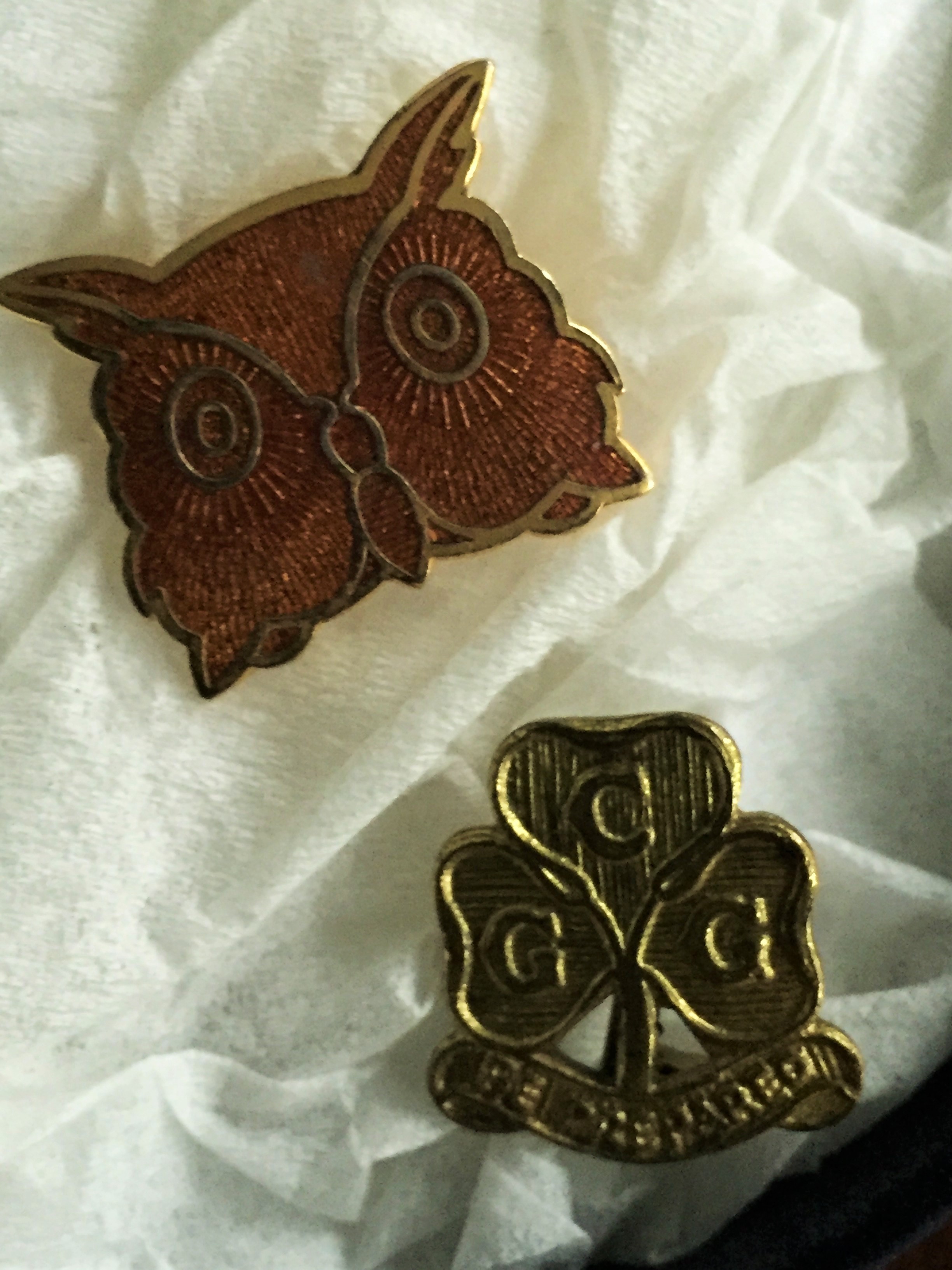 Brown Owl and Guide pins