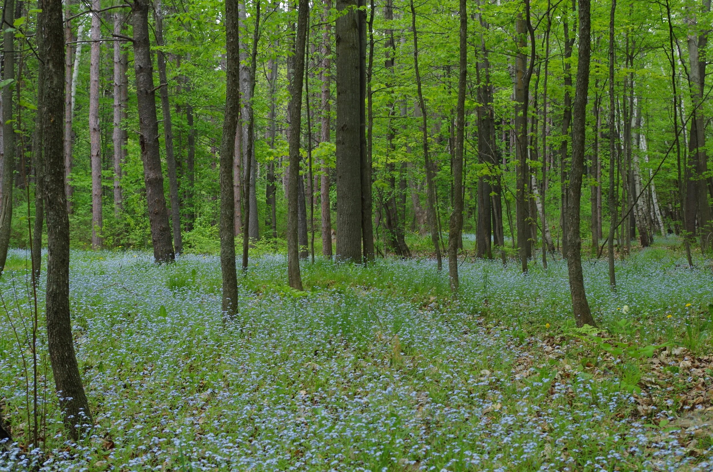 2013-01-01 04.47.07.jpg