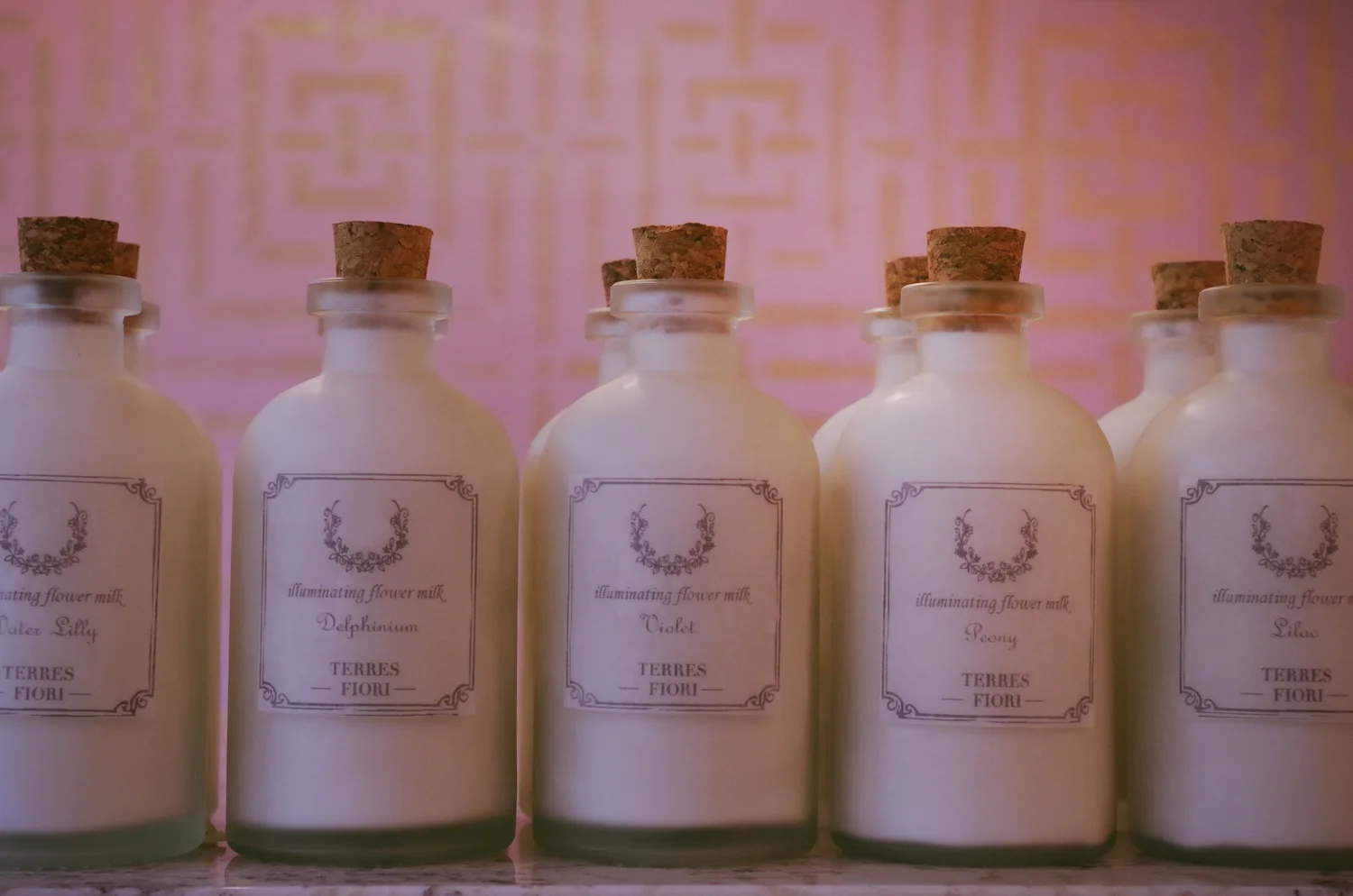 2013-01-09 06.07.41.jpg