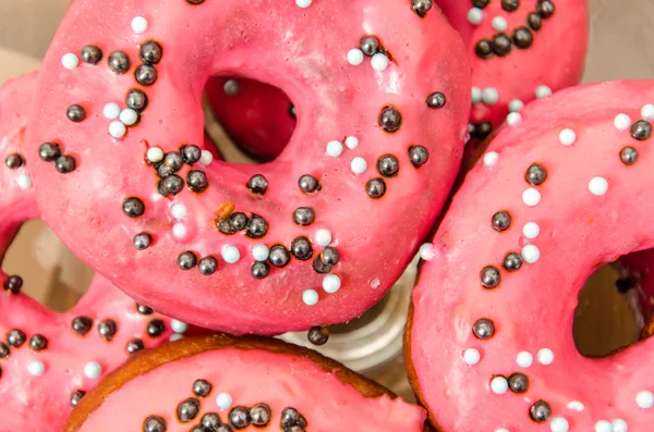 Sugar and Type Photoshoot