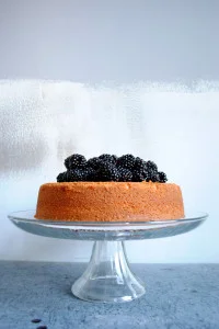 Starting From Scratch