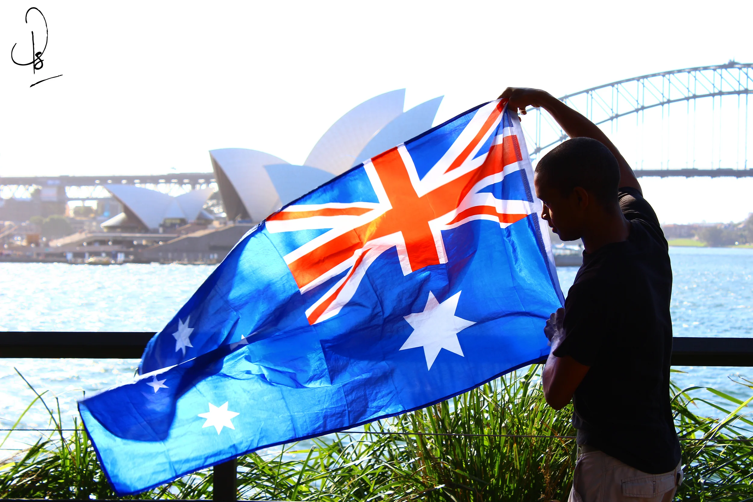 aussie.jpg