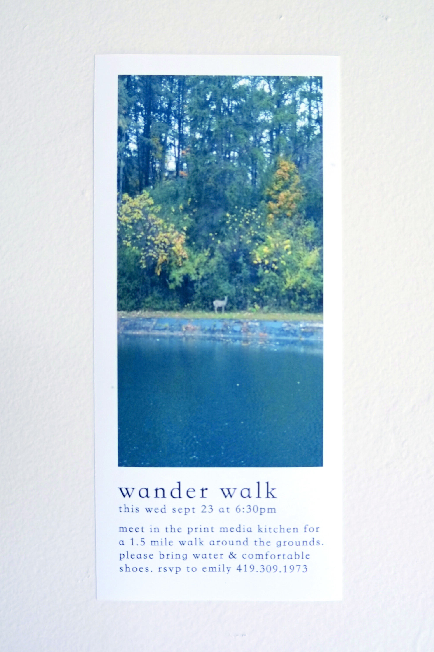 Wander walk.JPG