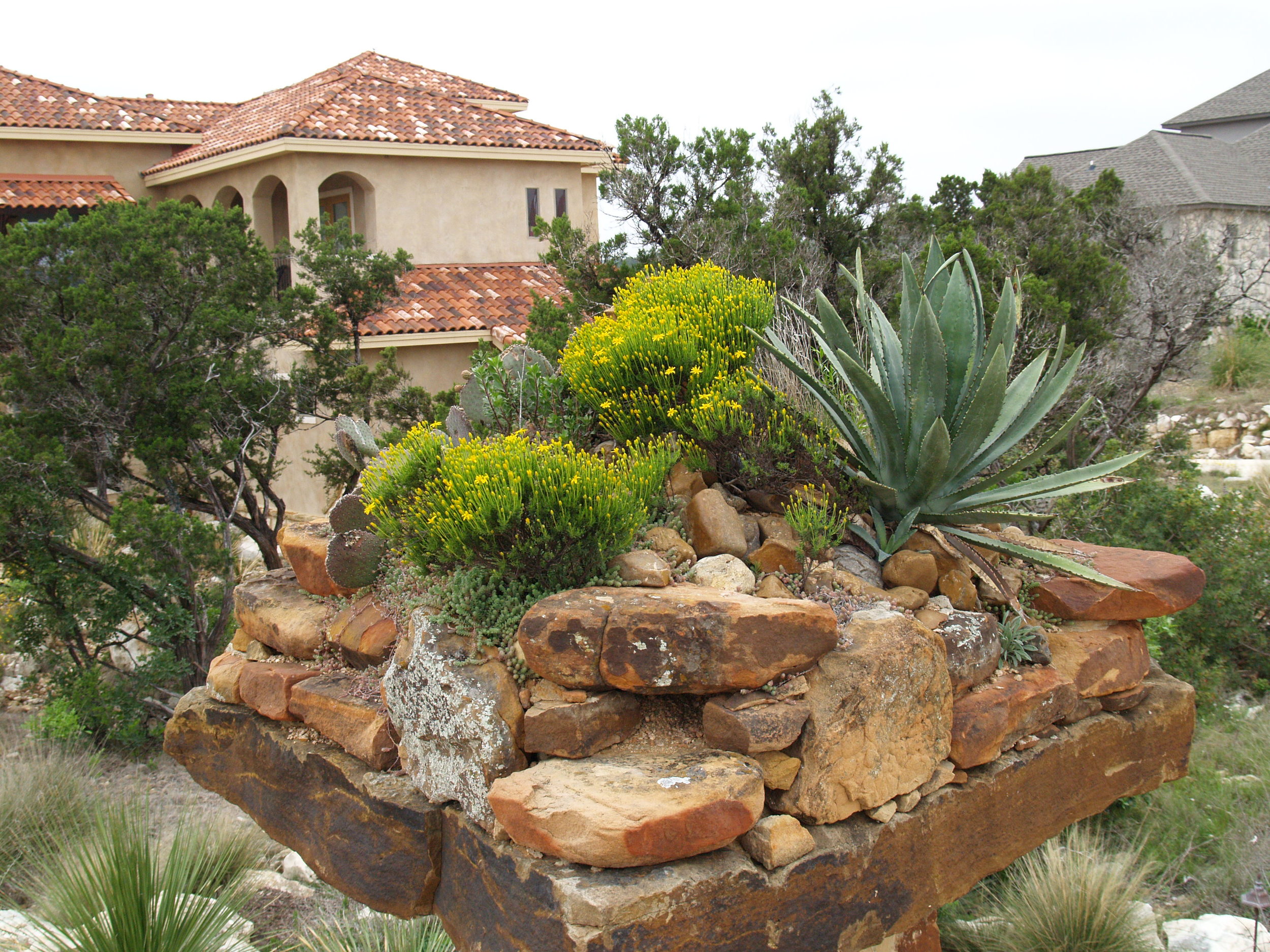 Front yard photo 009.jpg