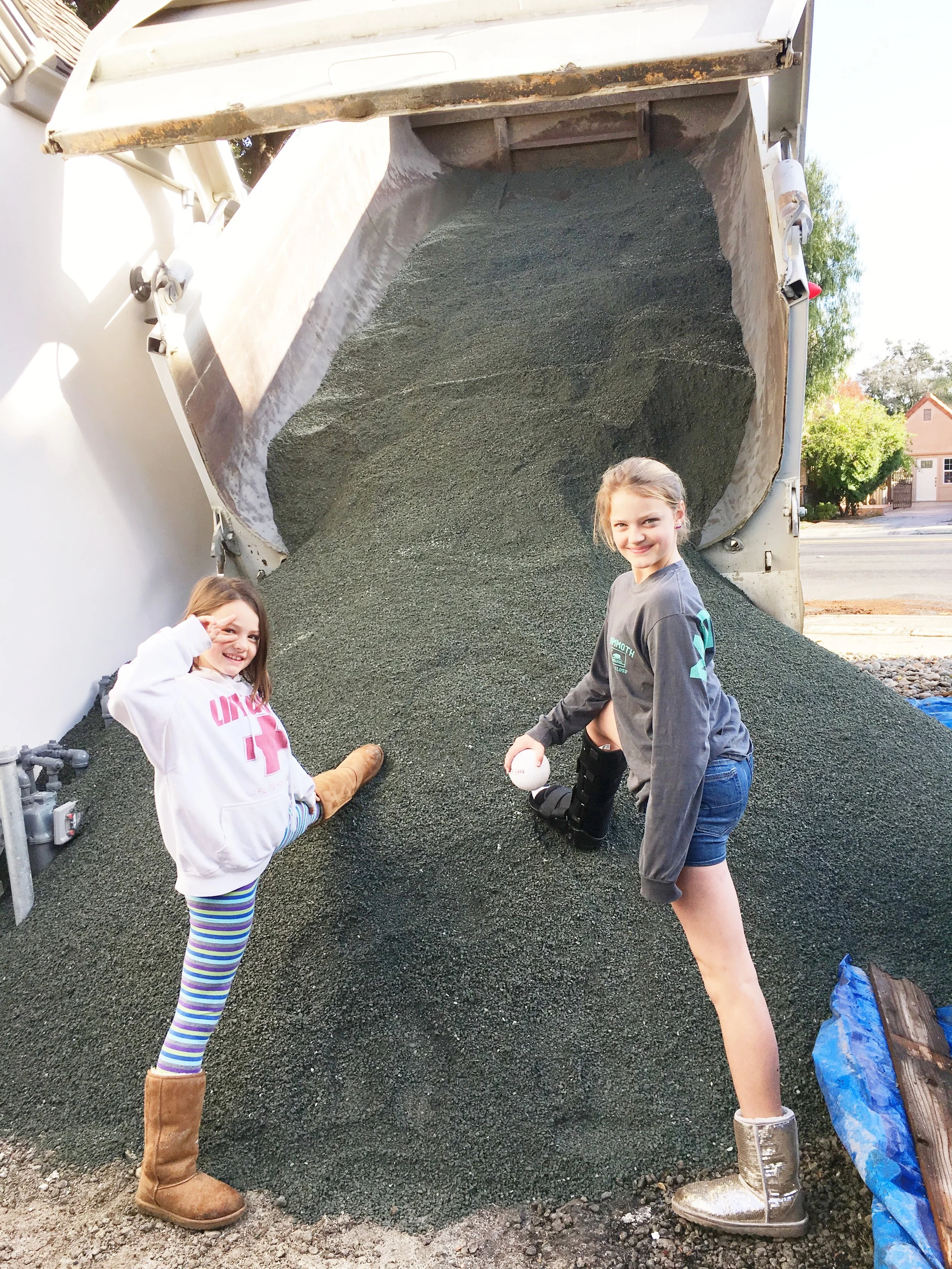 We are using gray Decomposed Granite on the driveway and back path. So there is a lot of space to fill!
