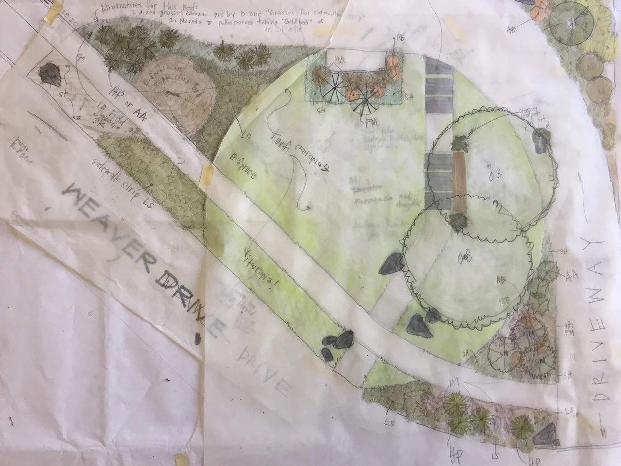 This is an overview of the front yard.