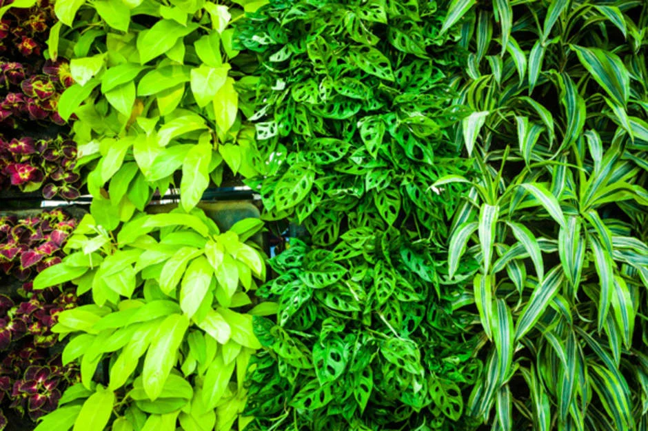 green-bio-wall_onmxmr.jpg