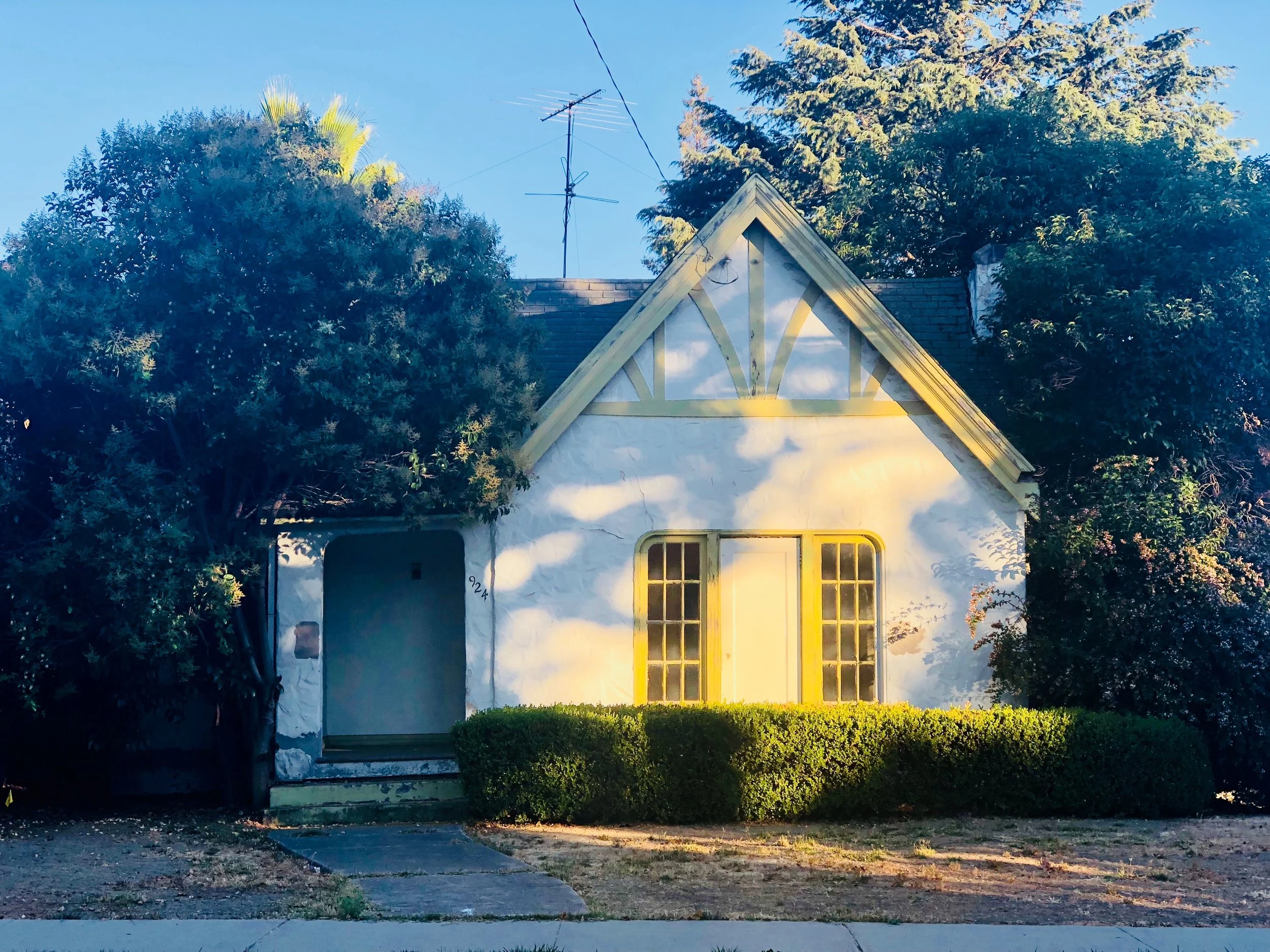 Introducing Willow Glen Way