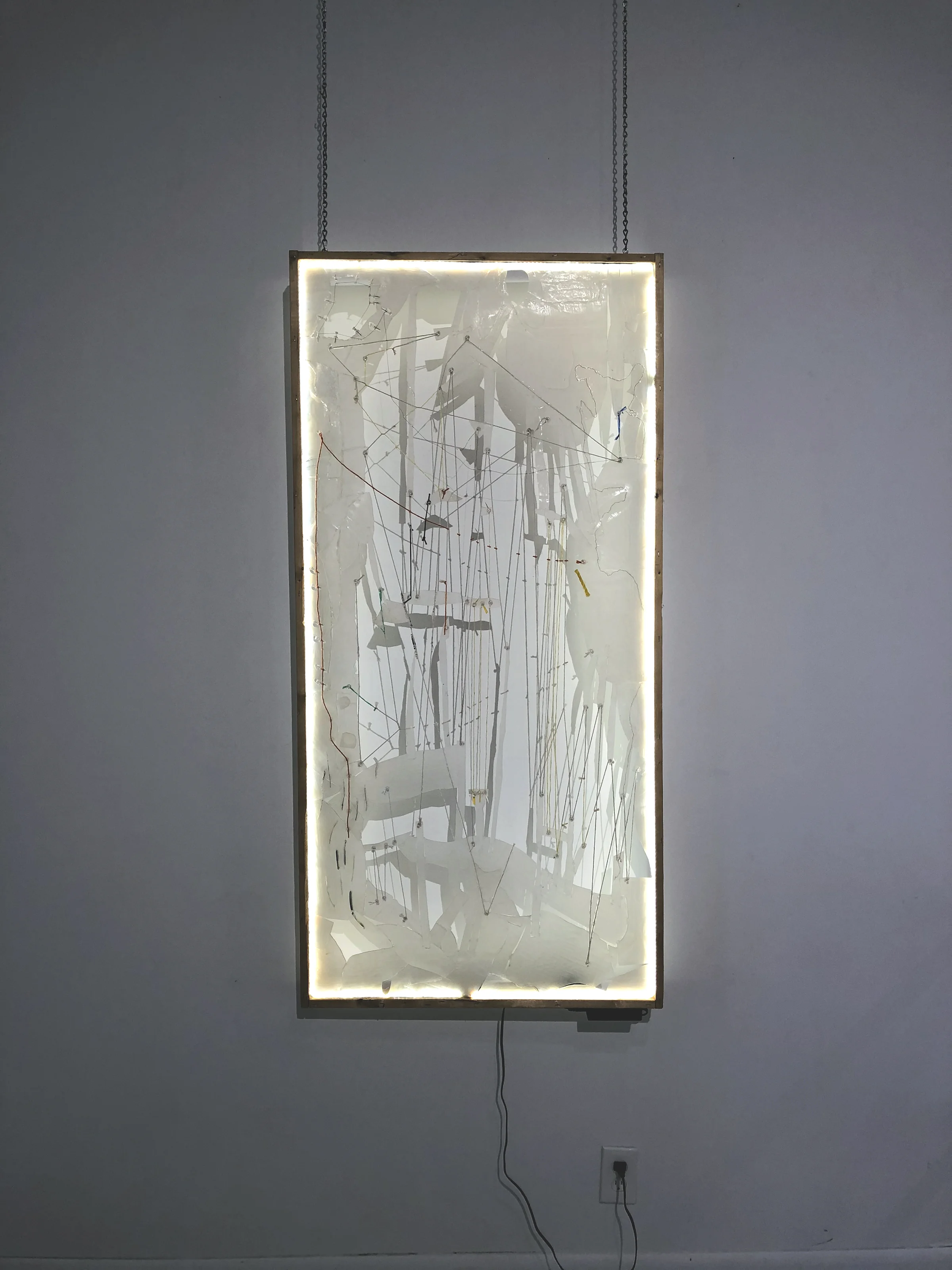 Reprilt-en, 2017