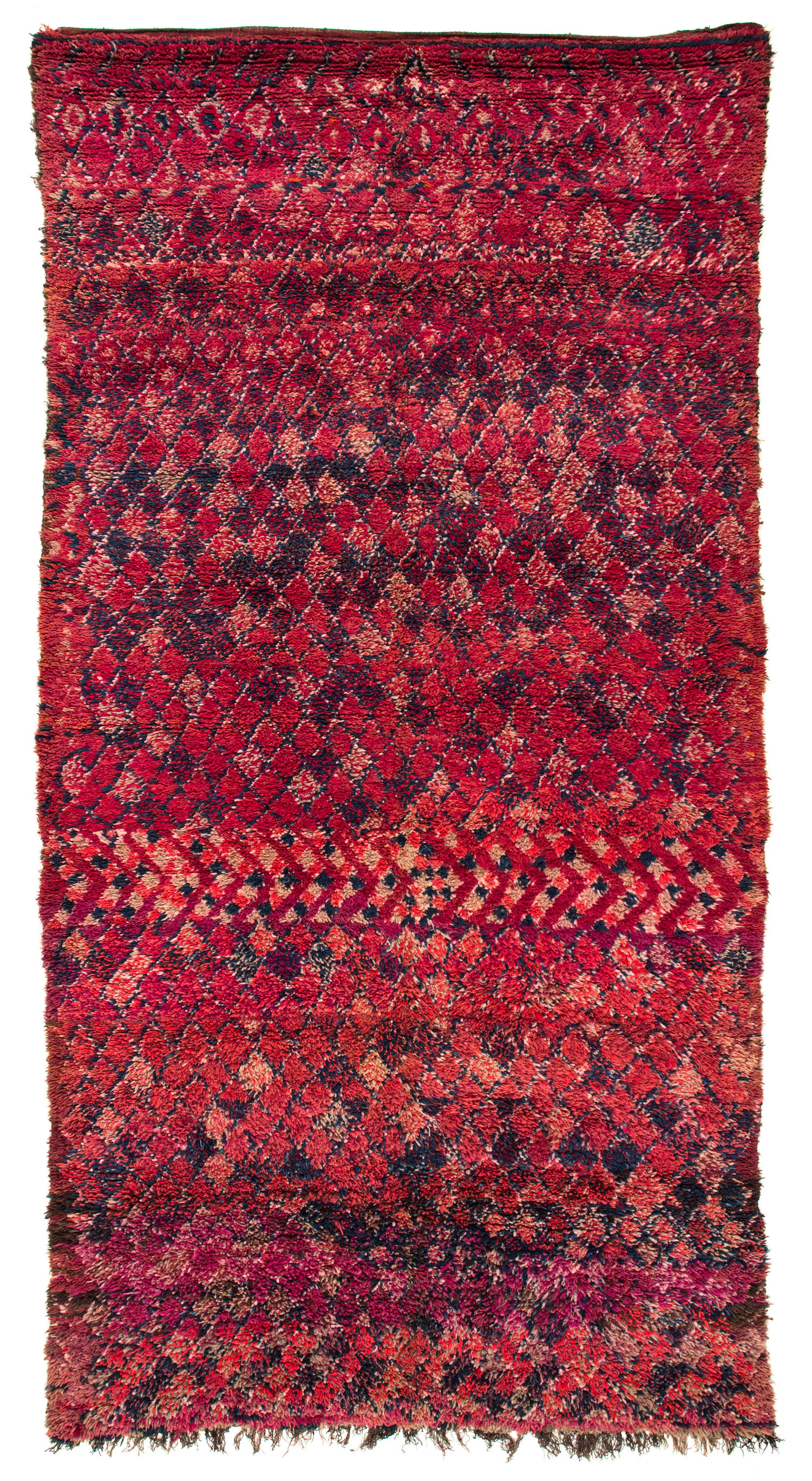 Highlights from Carini Lang's Moroccan Collection