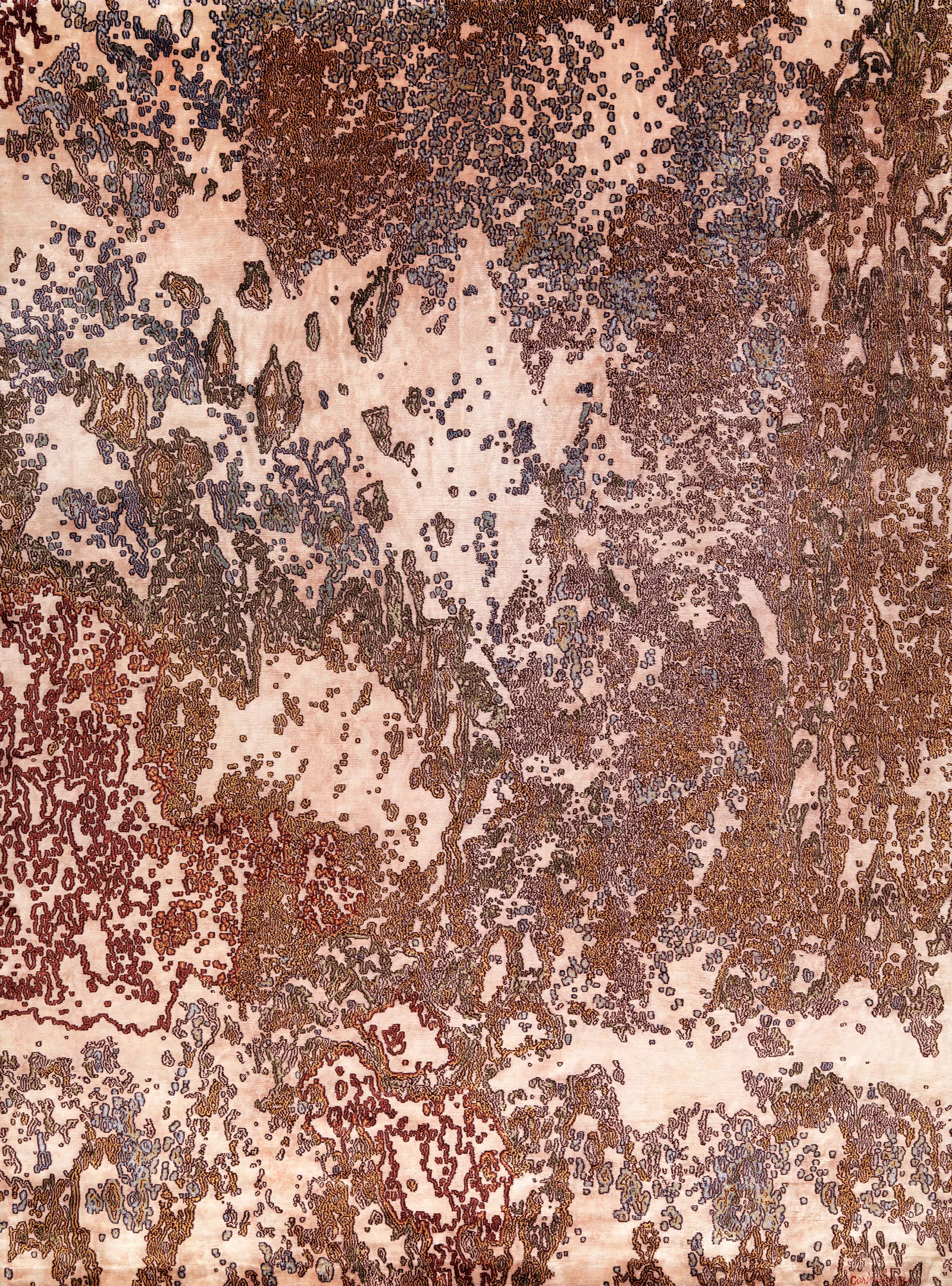 Seychelles Oak
