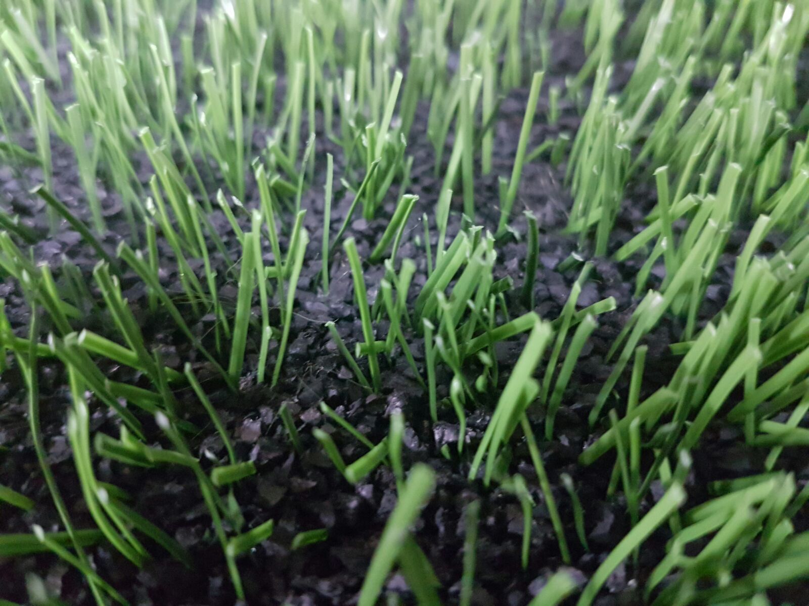 SBR rubber granules within the artificial turf