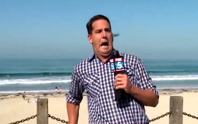 Big Bug Provides Big Scare for Reporter