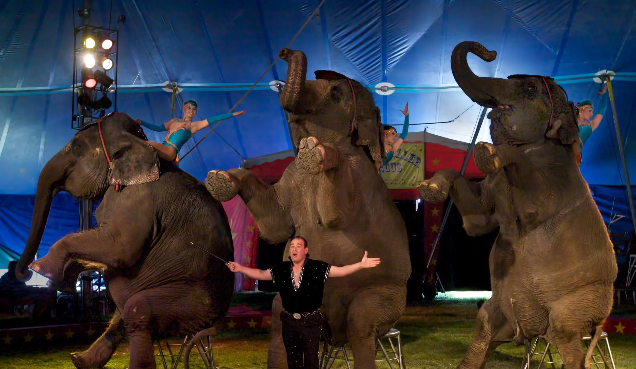 Kelly Miller Circus Family for a Day Giveaway