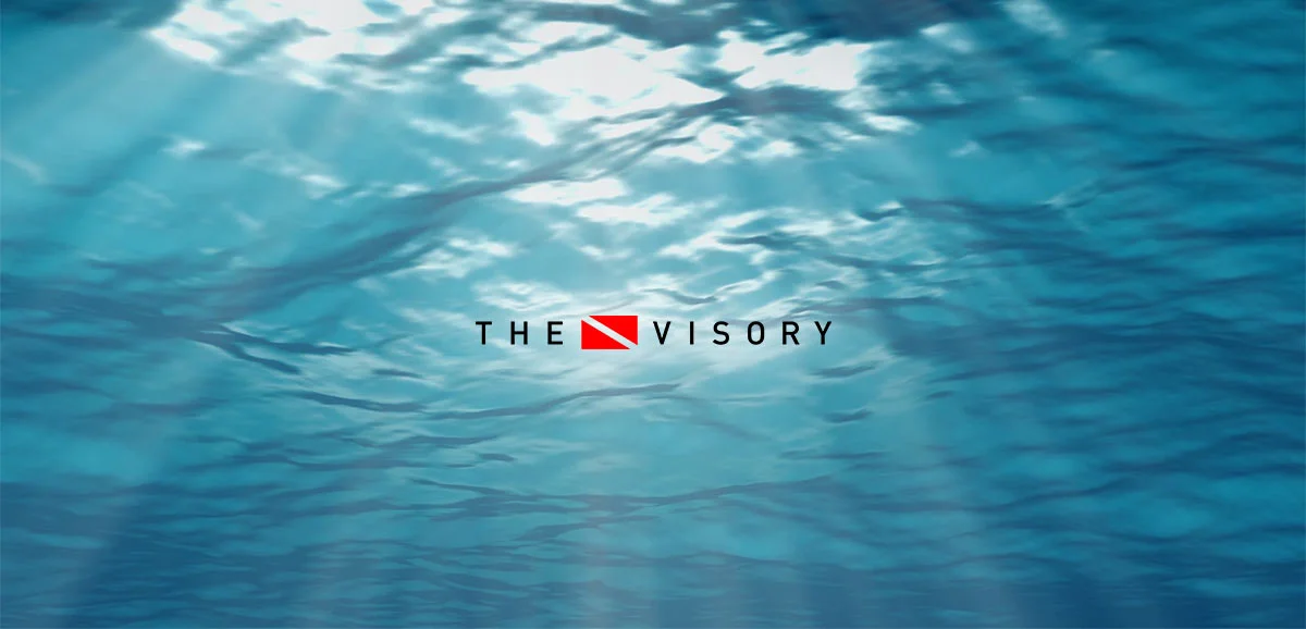 the-visory-theoskye.jpg