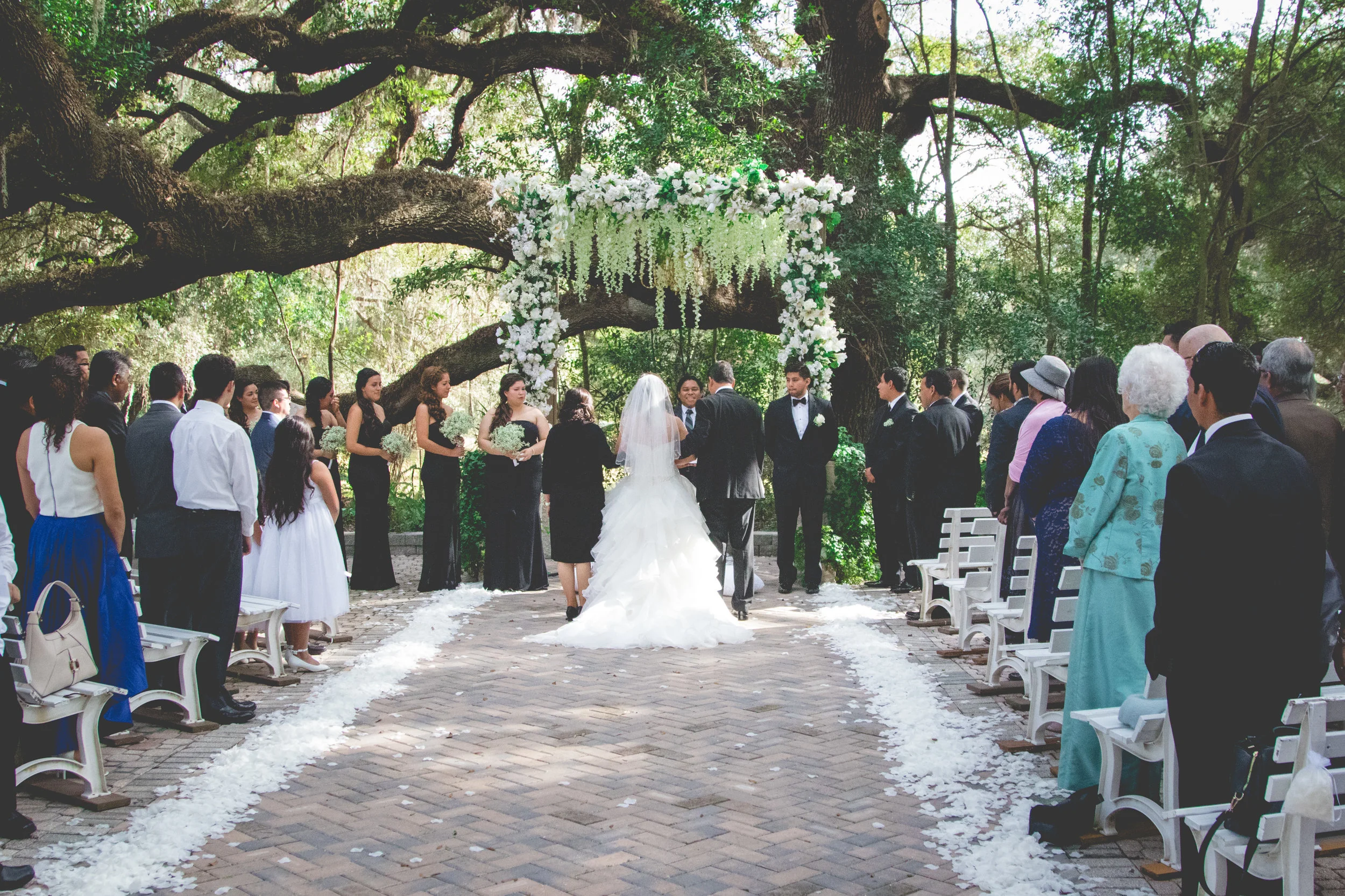 Haslel+Josue-1pppppppp.jpg