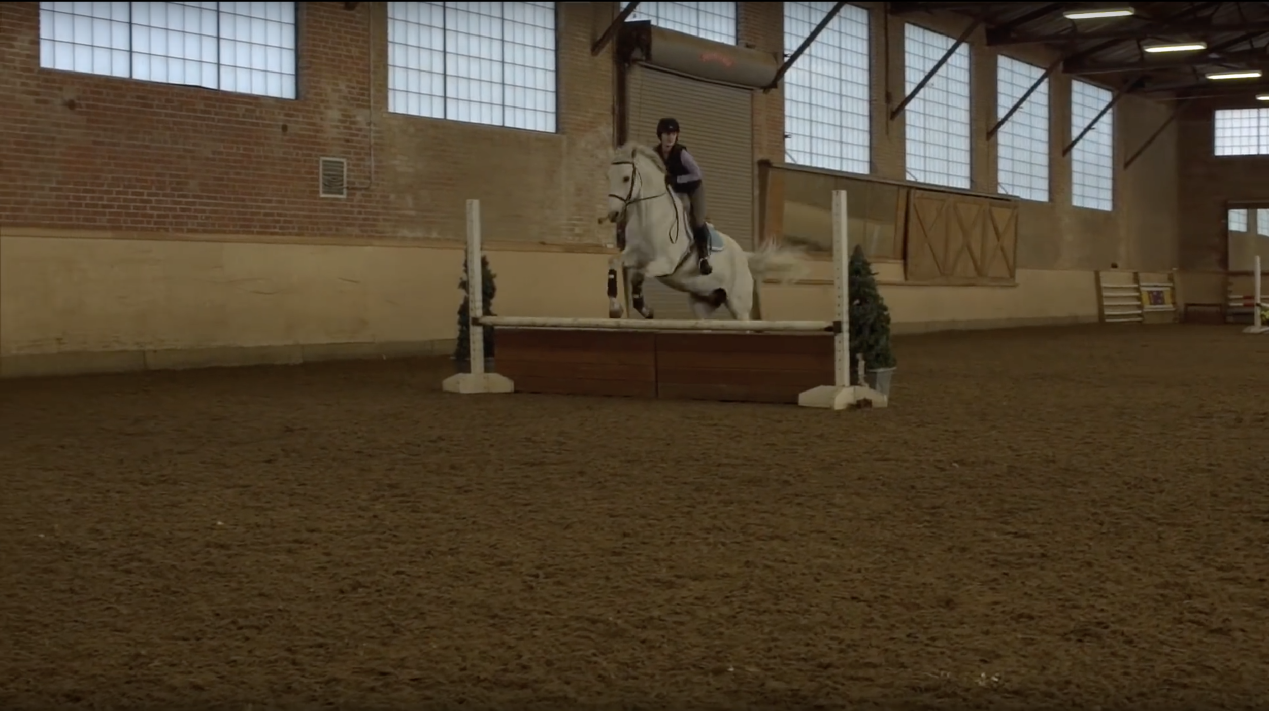 Screen Shot 2020-03-24 at 9.28.32 AM.png