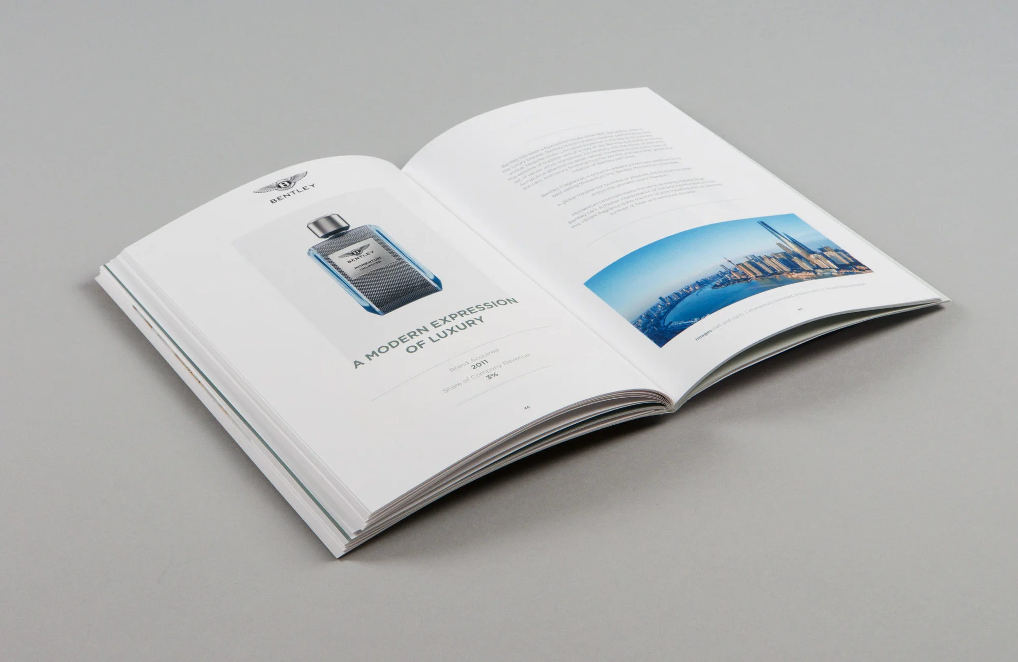 Blyss-Lalique-AnnualReport-2017-02.jpg