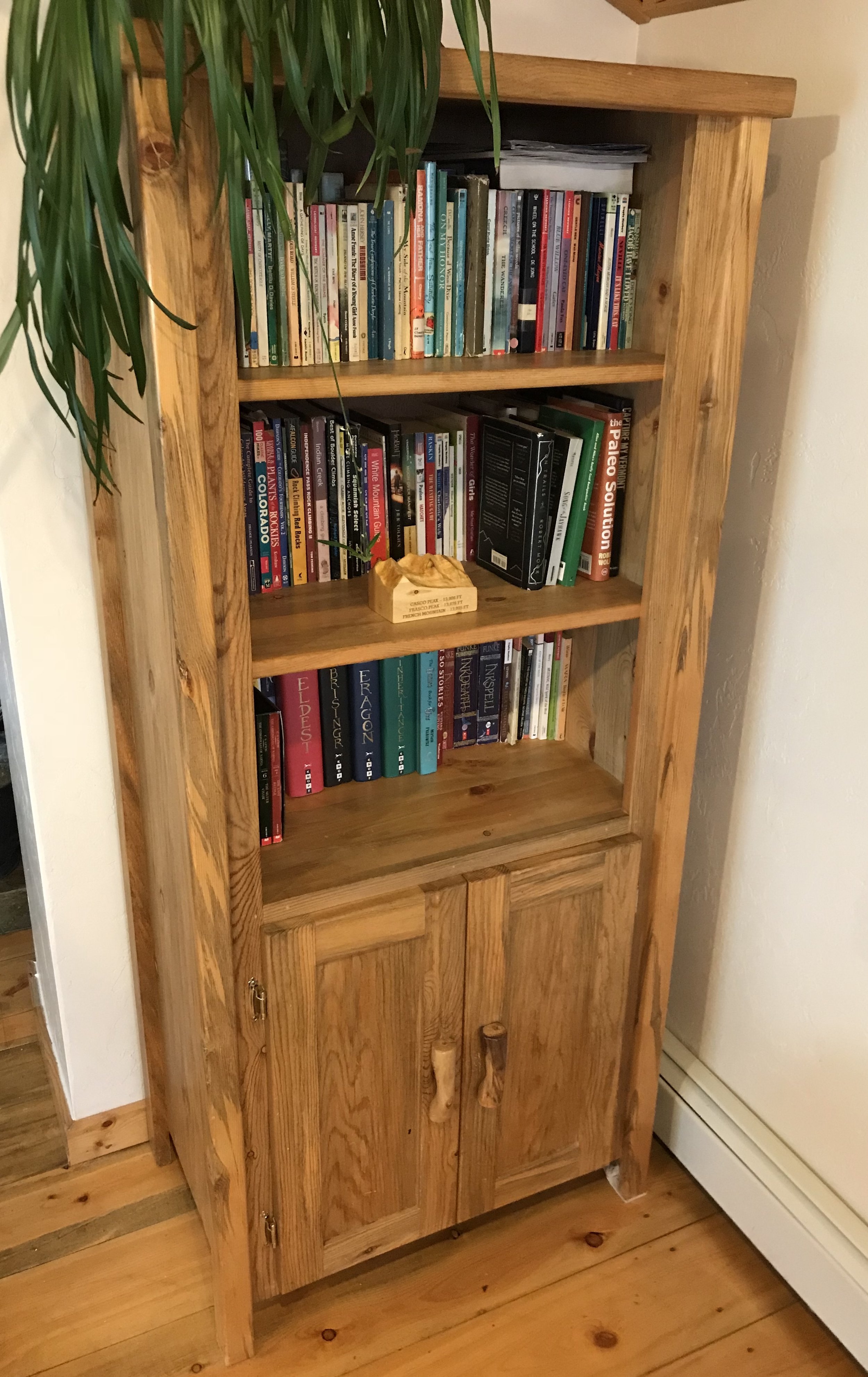 Beetle Kill Pine Bookshelf