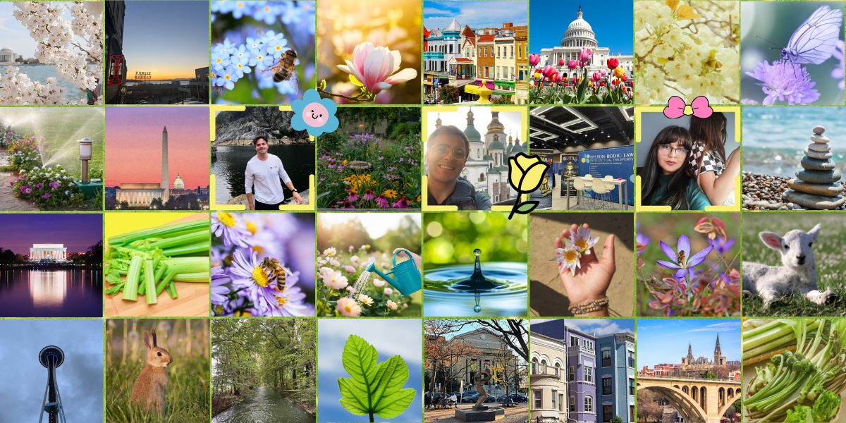 Hylton-Rodic Law | Q1 2026