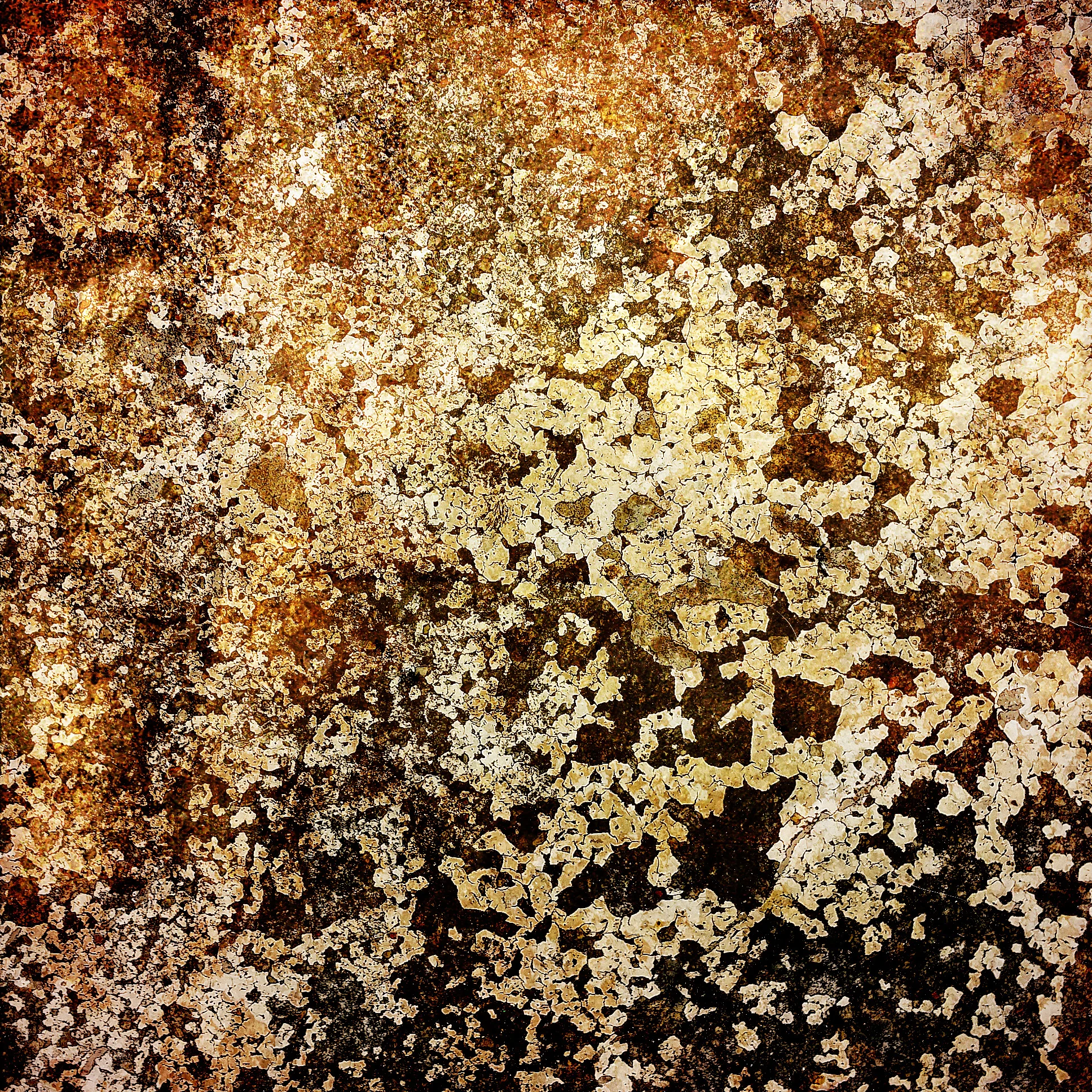 Texture 4