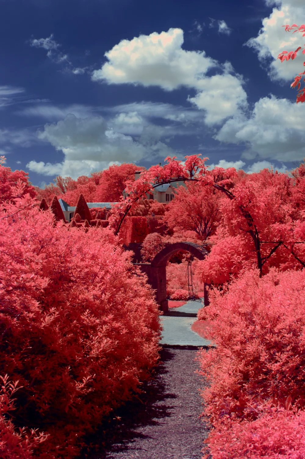 Through The Gardens.jpg