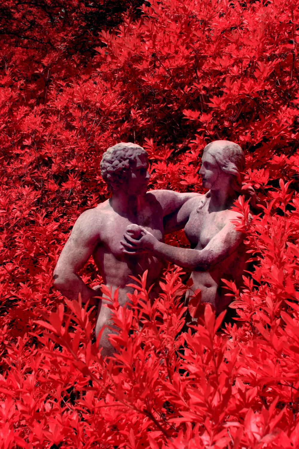 Trick of the Serpent.jpg