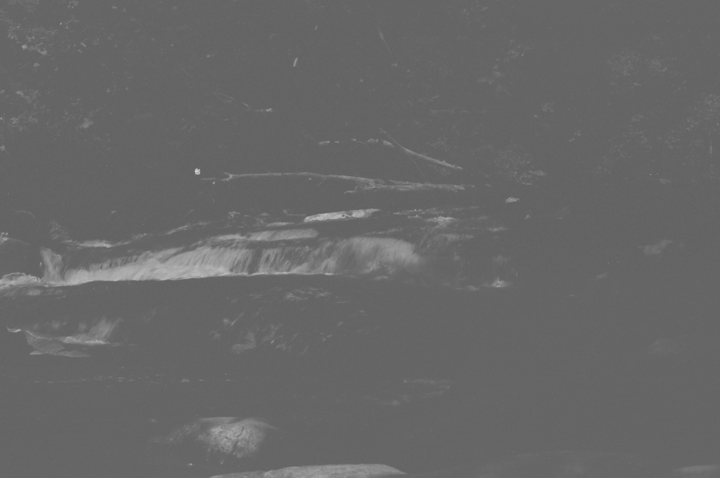 000524830021.jpg