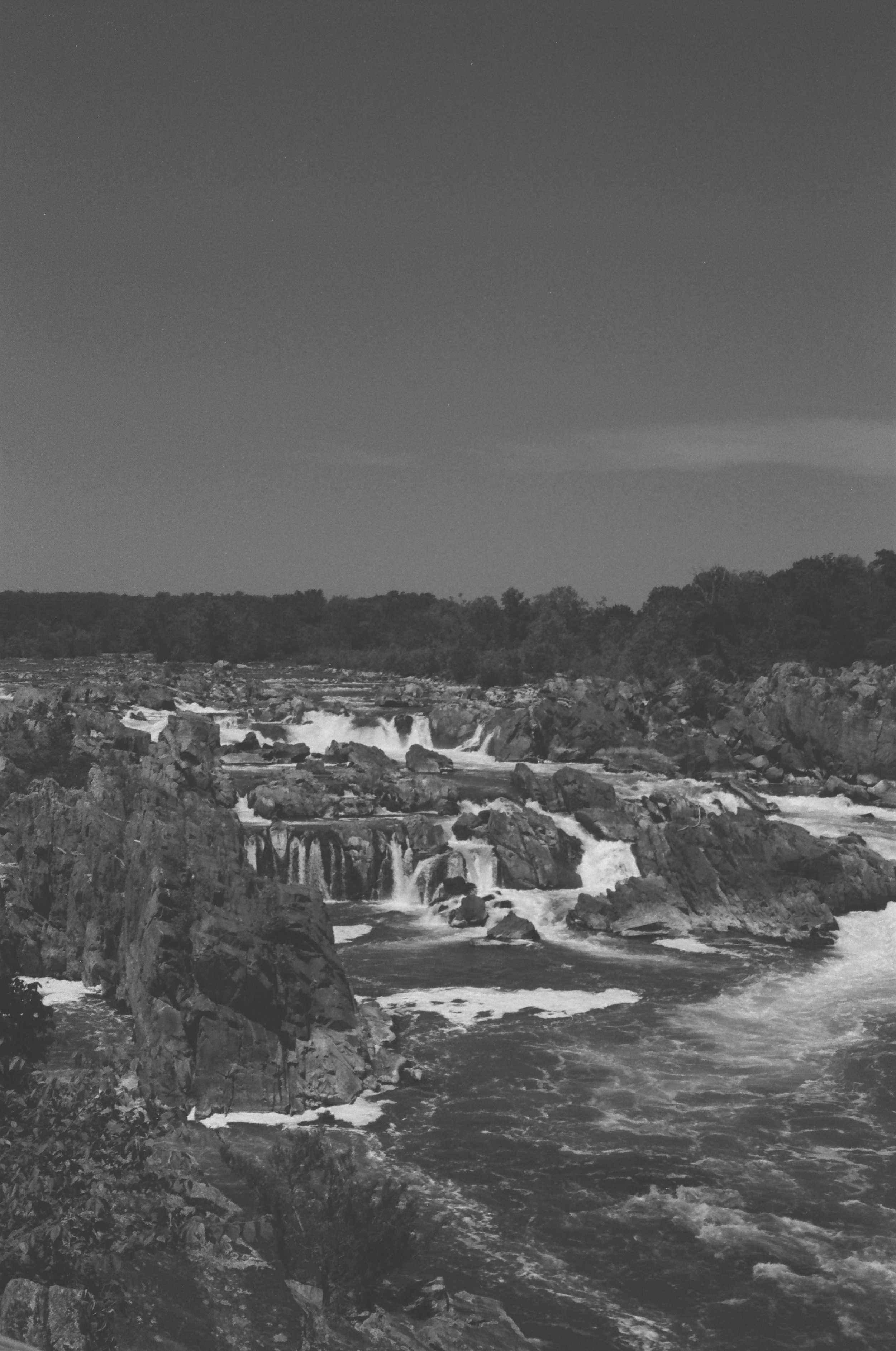 000524830005.jpg