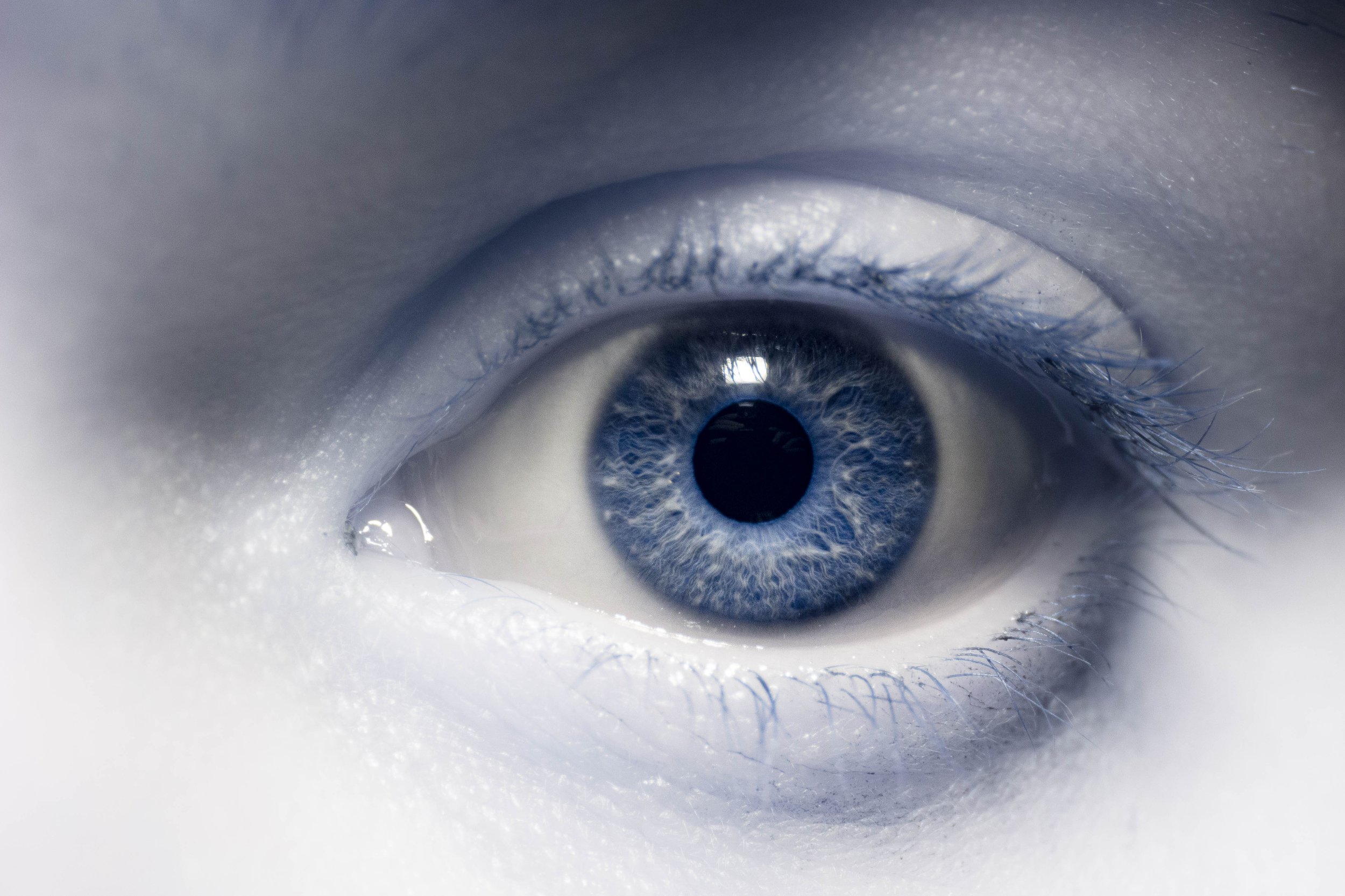 Hannah's Eye IR 590.jpg