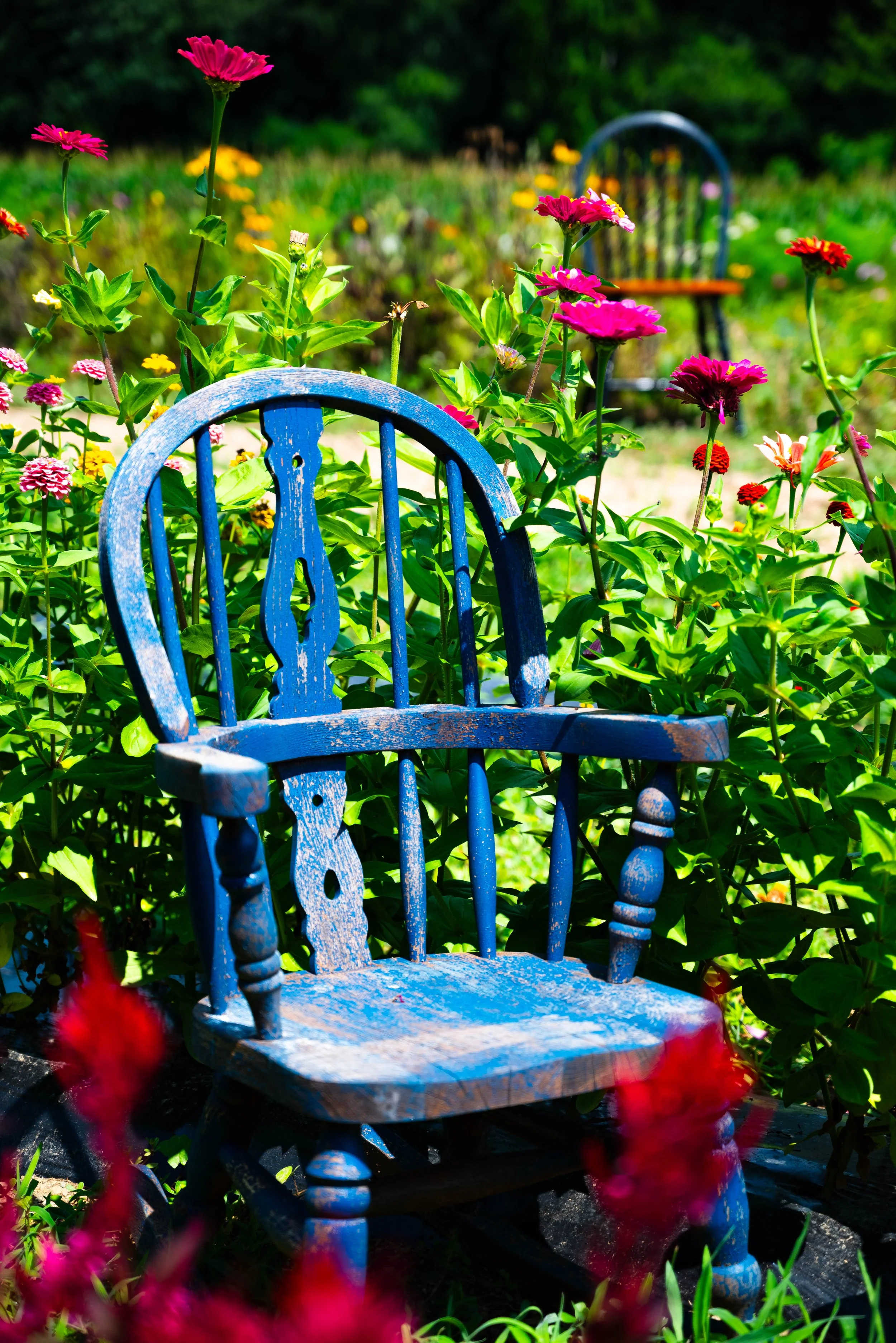 DSC_2819.jpg