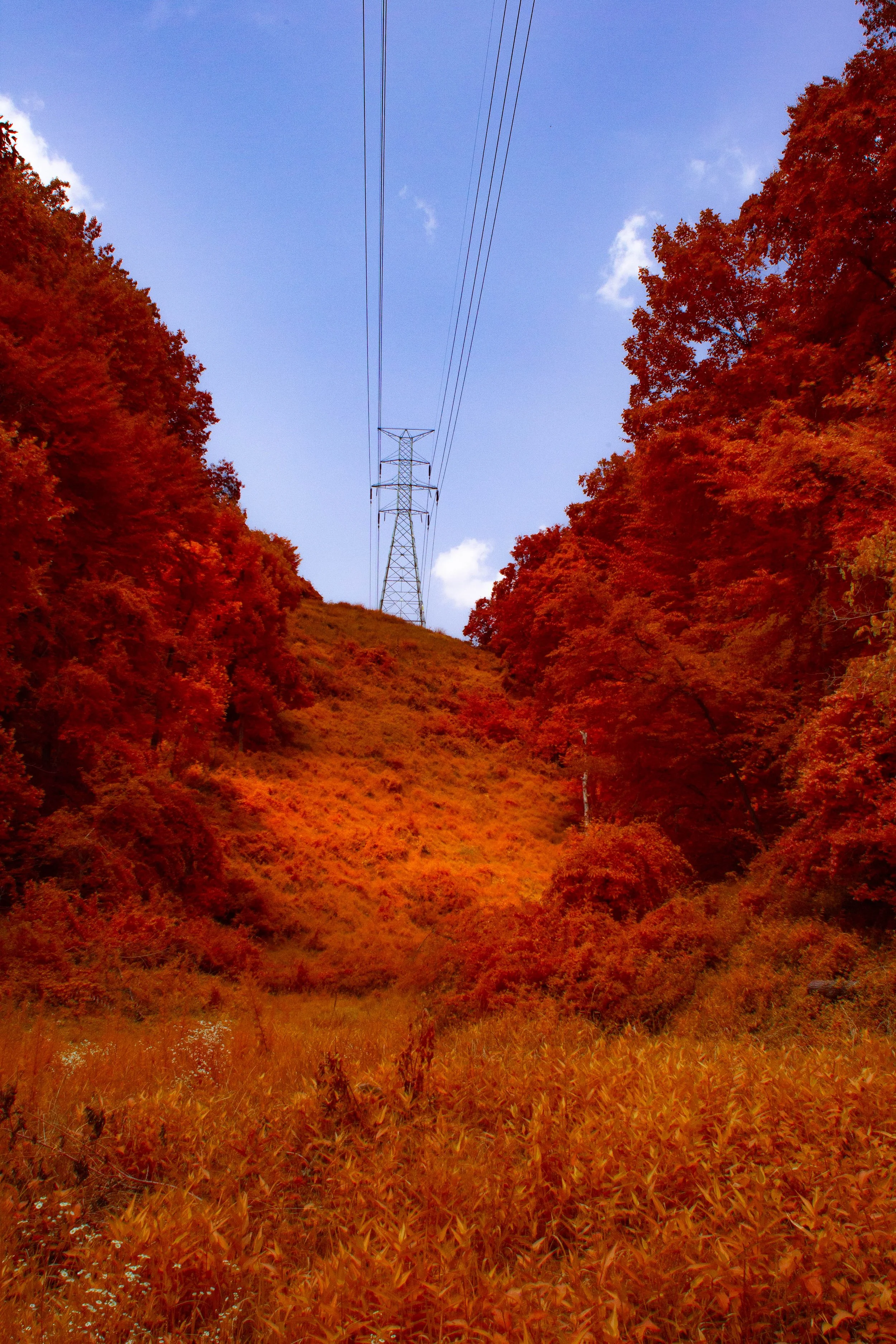 Radio Tower.jpg