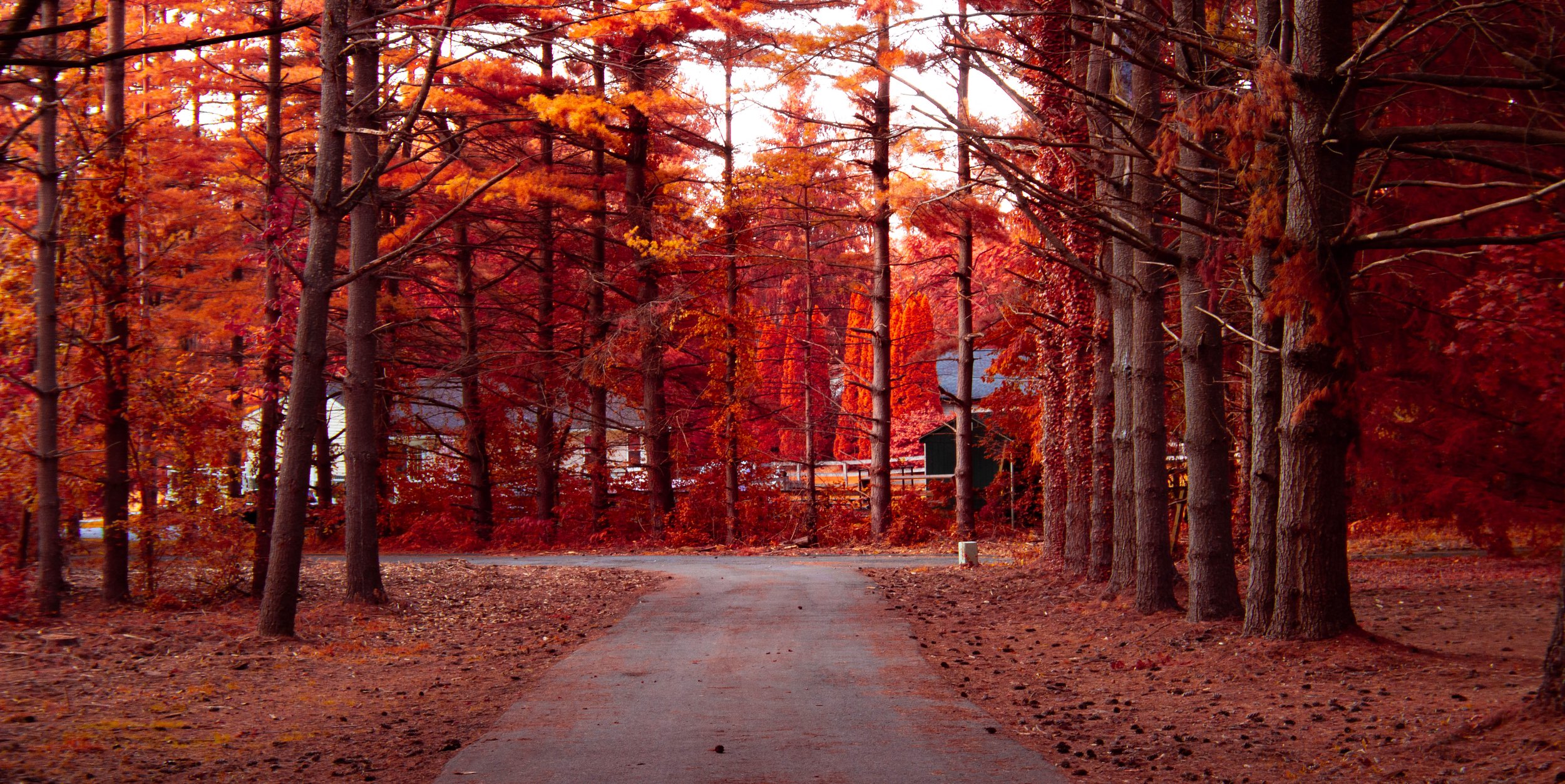 Driveway Anamorphic Test.jpg