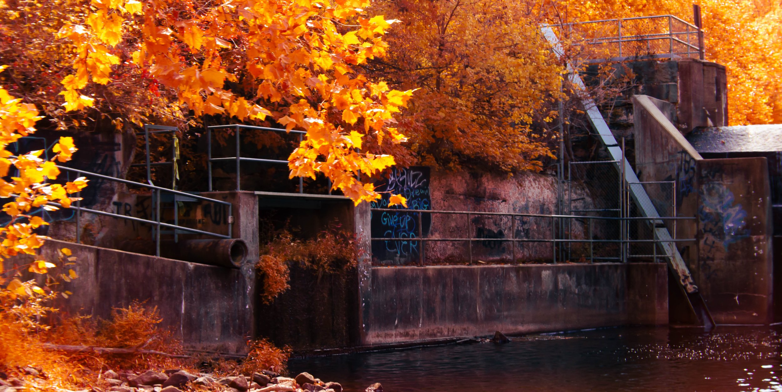 IMG_8980-Edit.jpg