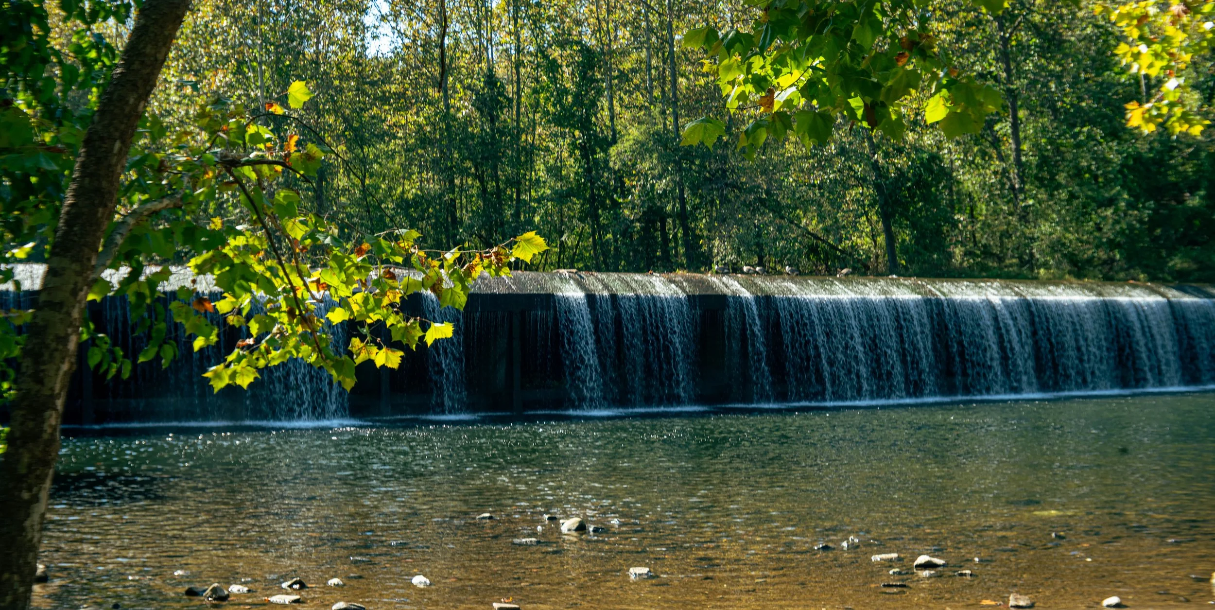 DSC_3396-Edit.jpg