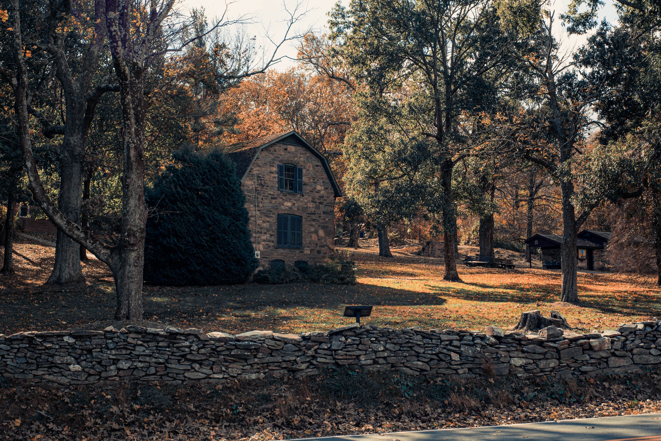 DSC_3603.jpg
