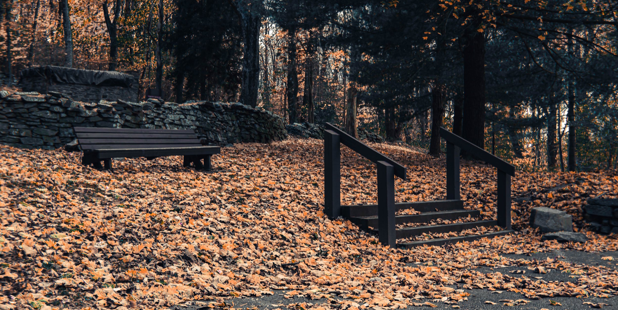 DSC_3627-Edit.jpg