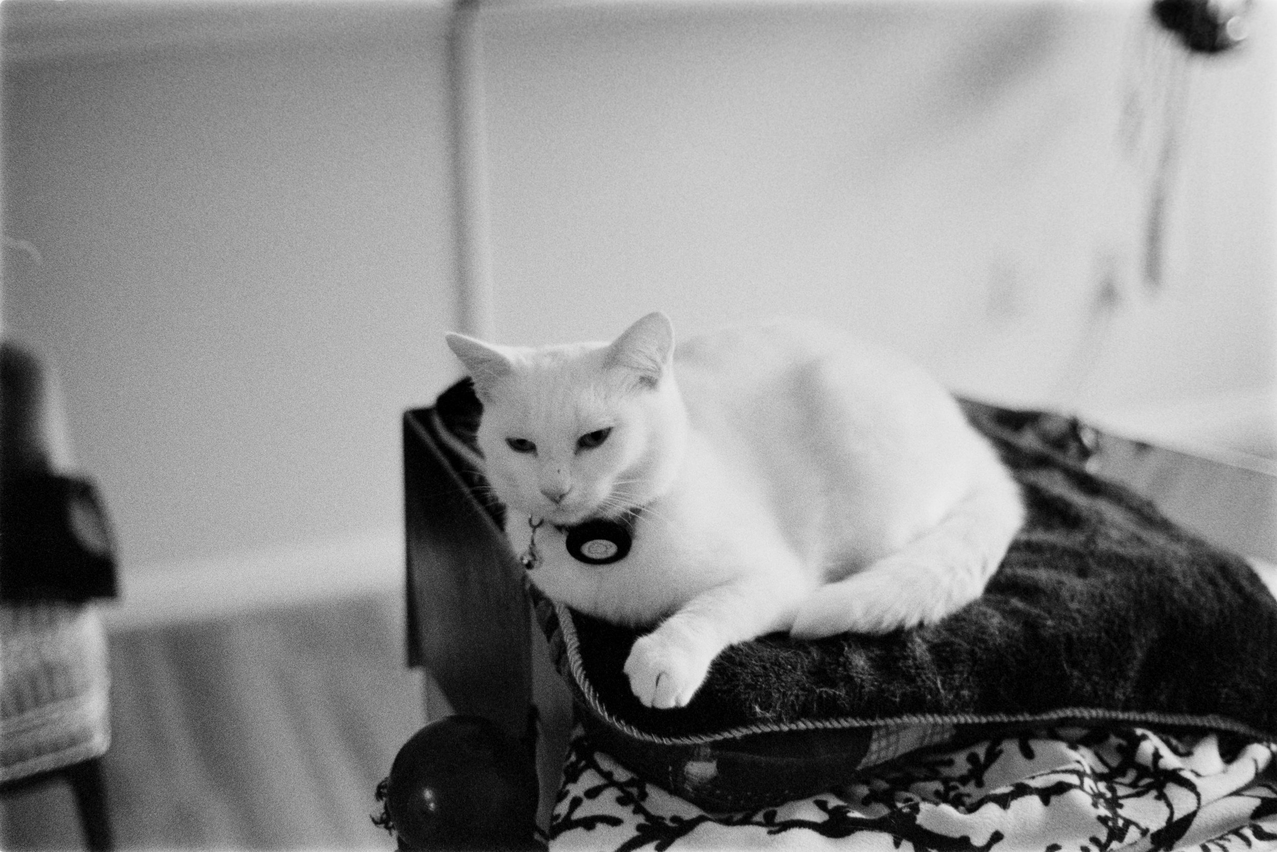 DSC_3952.jpg